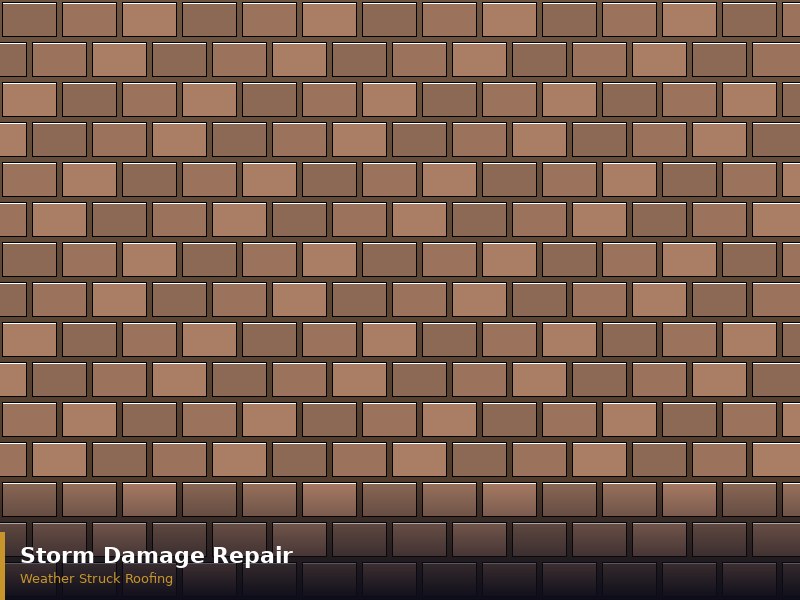 Roof Repair & Maintenance